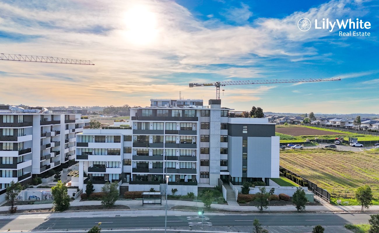 default - Lily White Real Estate Agency, Oran Park, Australia