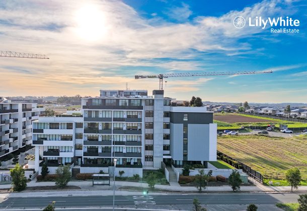 default - Lily White Real Estate Agency, Oran Park, Australia
