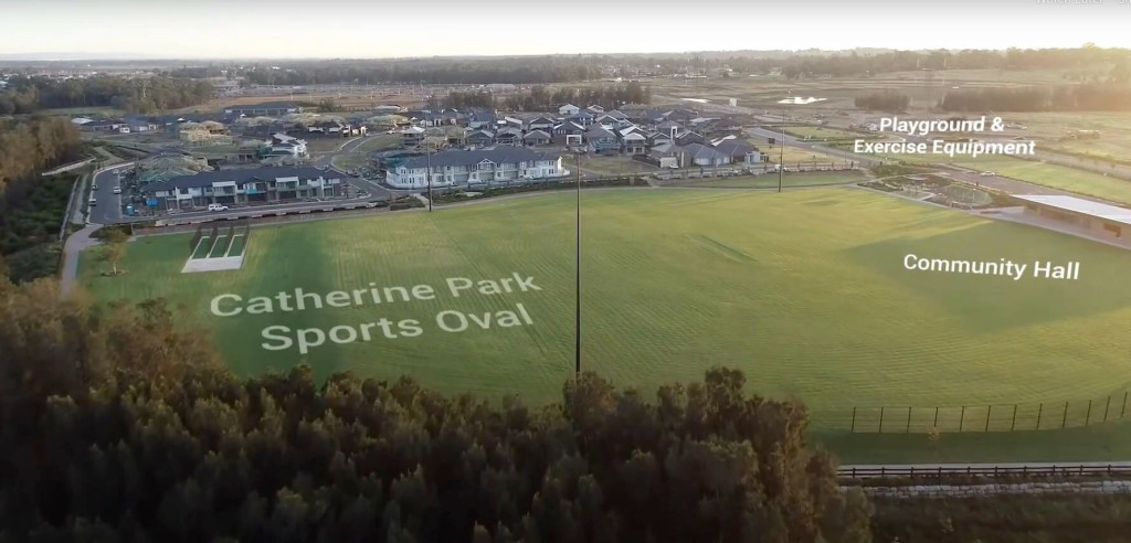 Catherine Field - Lily White Real Estate