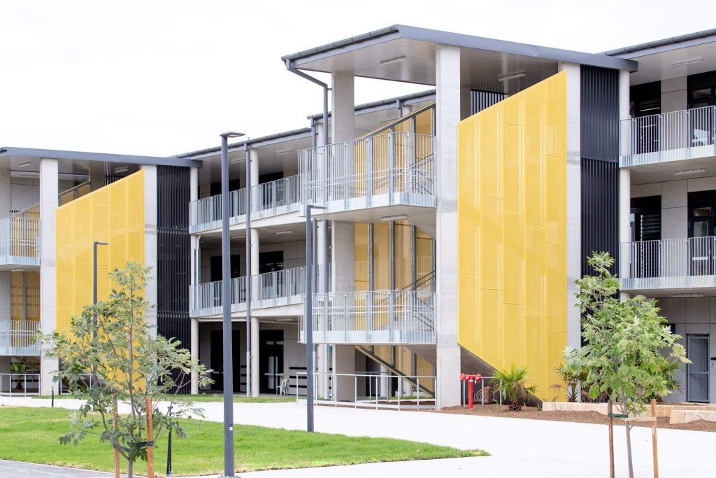 Catherine Field - Lily White Real Estate