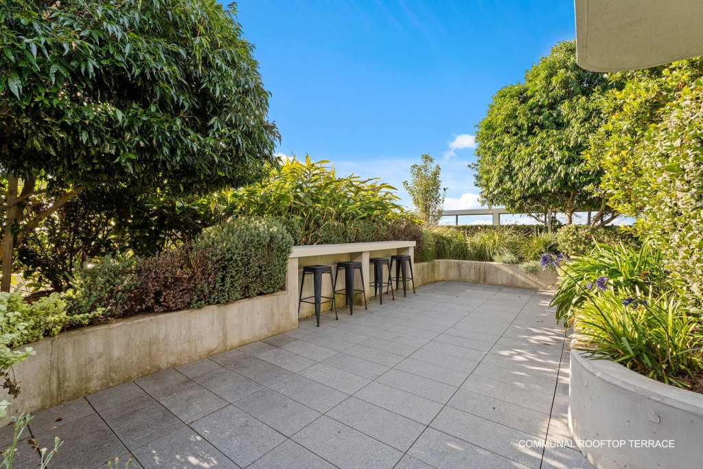 Kogarah - Lily White Real Estate