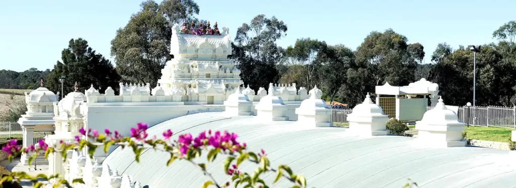 Minto - Lily White Real Estate