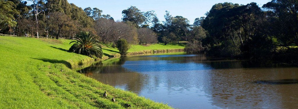 Parramatta - Lily White Real Estate