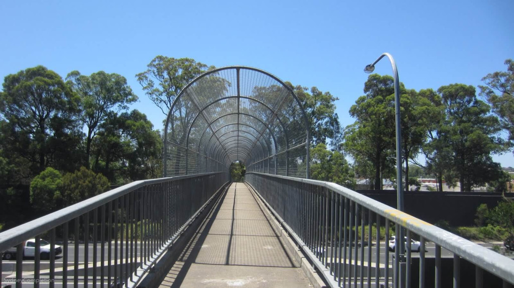 Riverwood - Lily White Real Estate